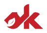 Service Key S.p.A. logo